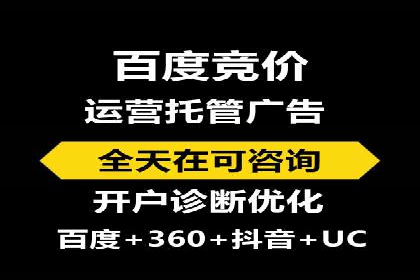 专业sem竞价托管服务，案例解析提升广告效果
